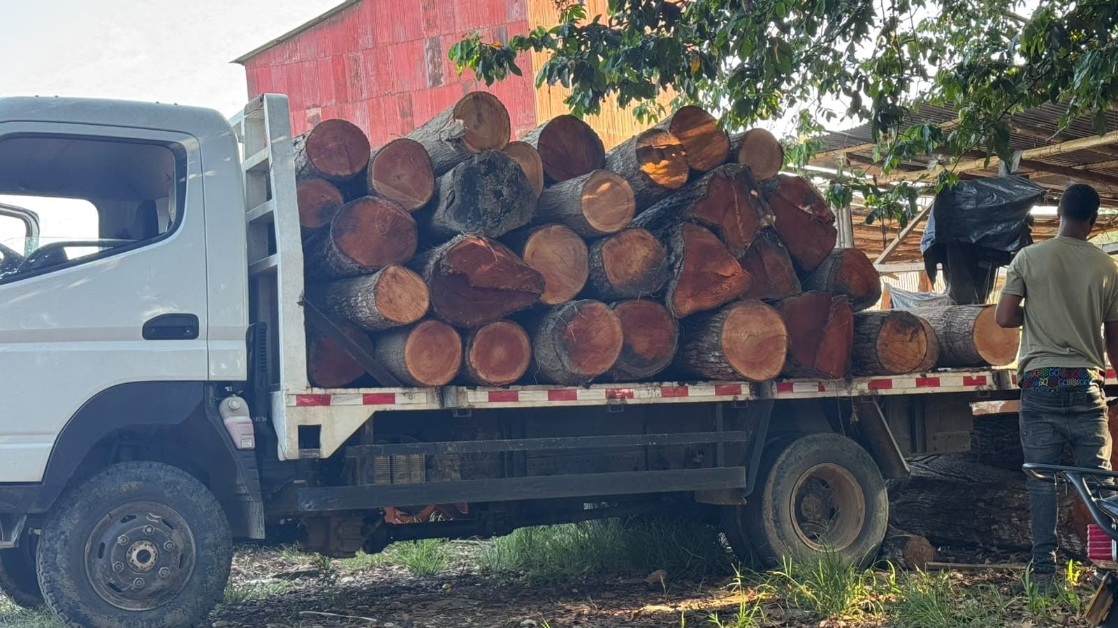 Carga de troncos en el camión