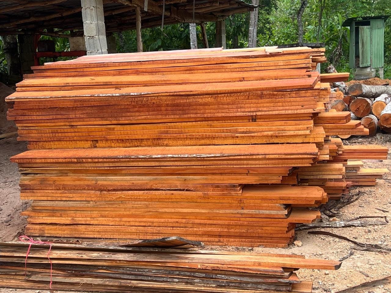 Lote de tablas en el patio