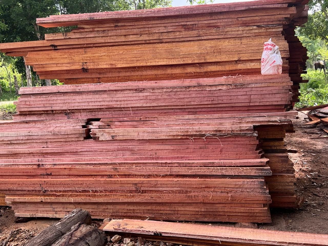 Tablas rústicas apiladas para obra