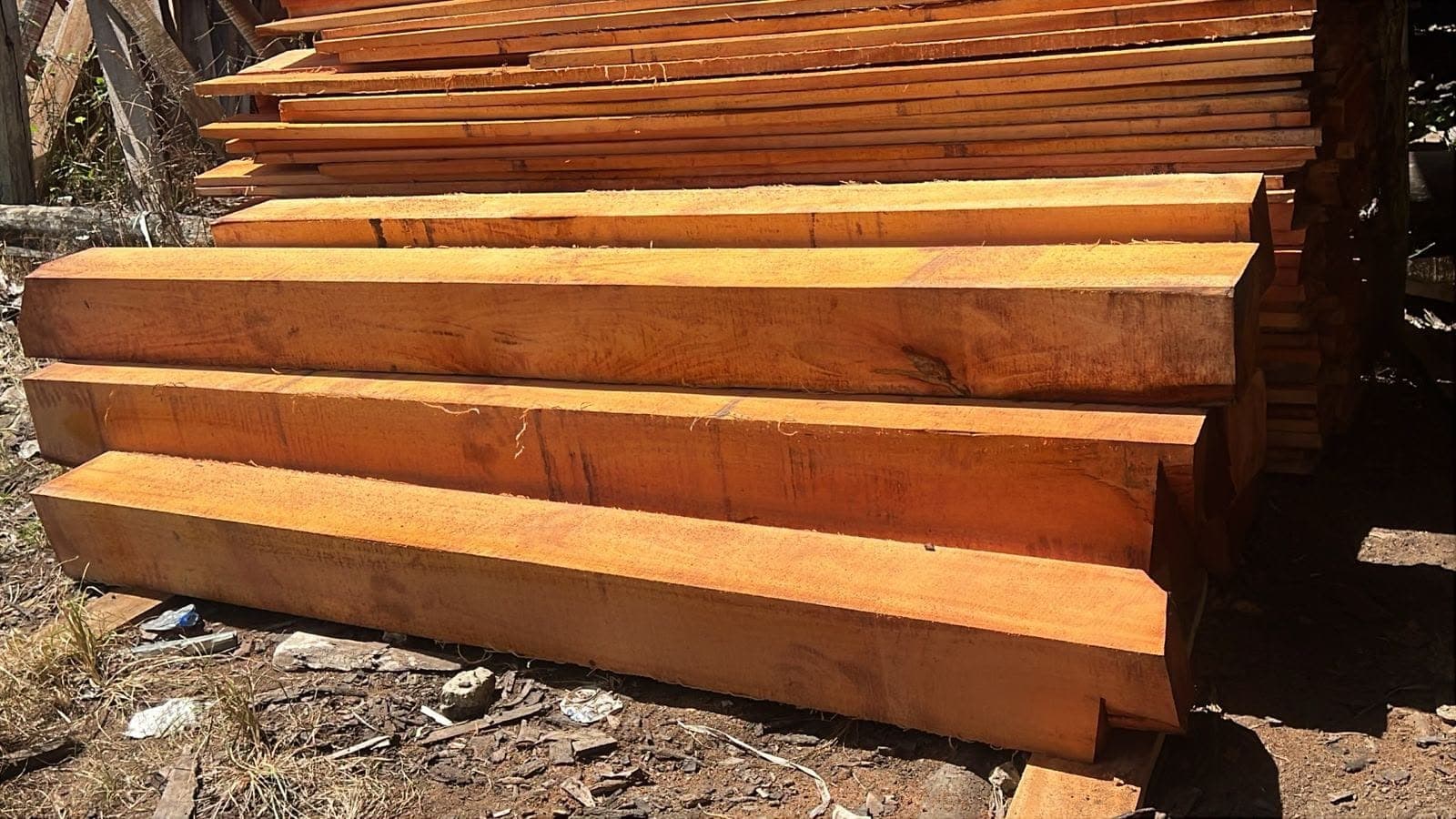 Vigas de madera aserrada de sección gruesa