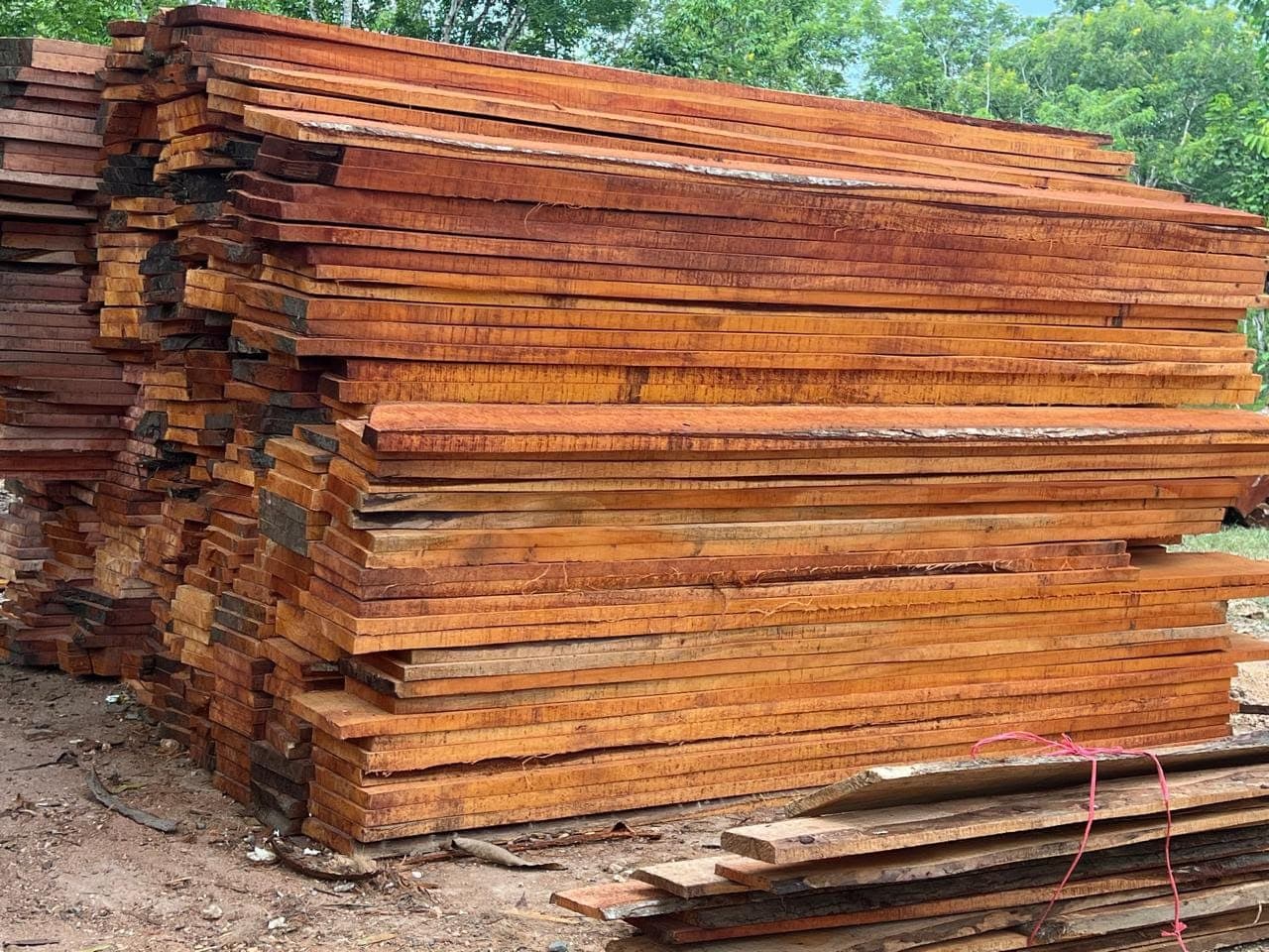 Tablones de madera apilados en el patio